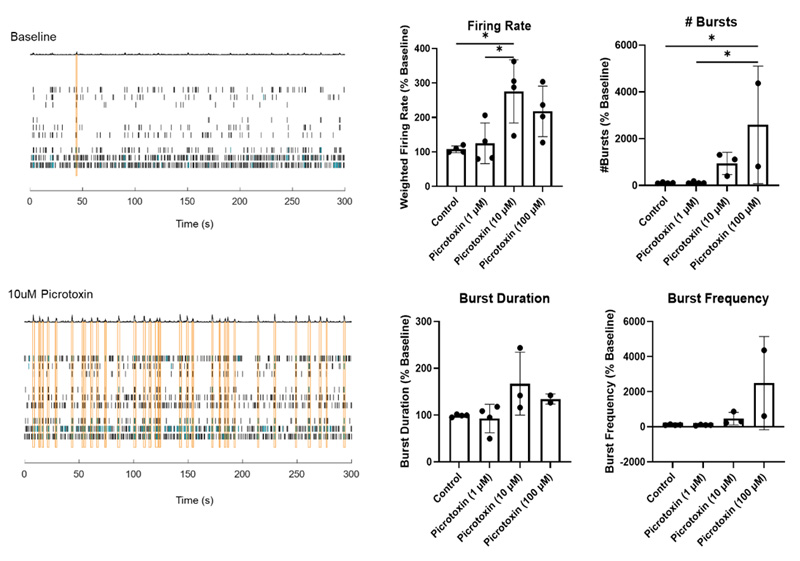 Assessment of Neurotoxicity with Cerebral Organoids (Picrotoxin)