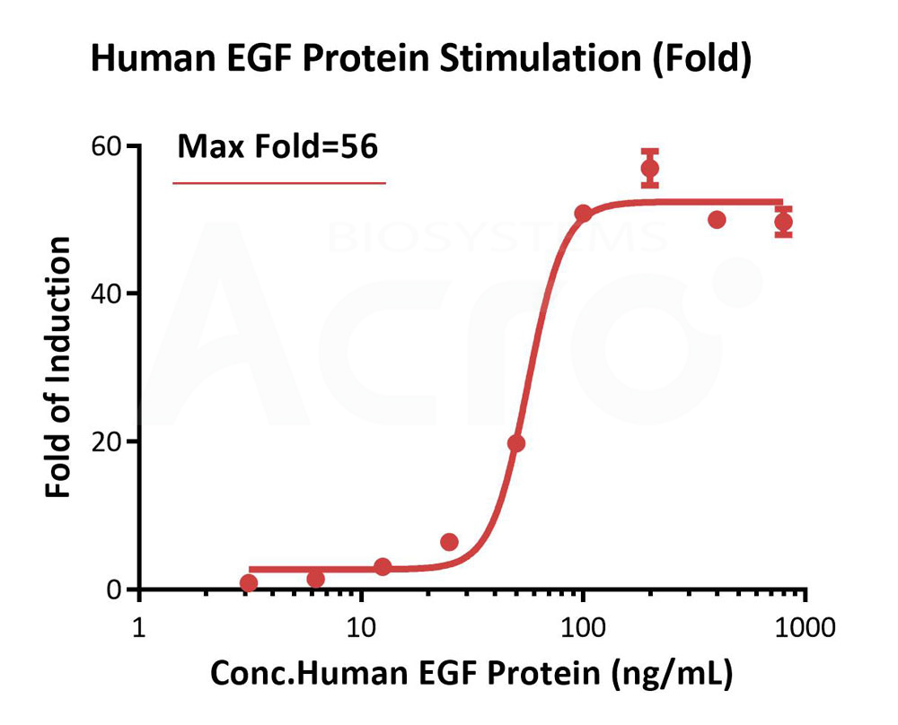 High Bioactivity