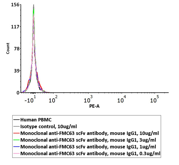 CAR-specific Monoclonal Antibody to Detect Anti-CD19 CAR Expression