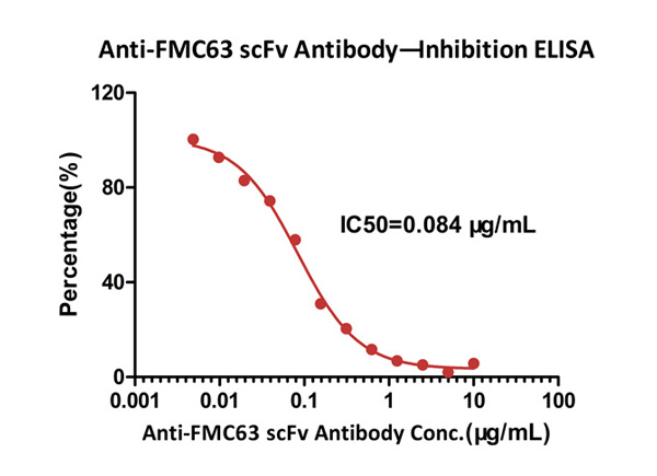 CAR-specific Monoclonal Antibody to Detect Anti-CD19 CAR Expression