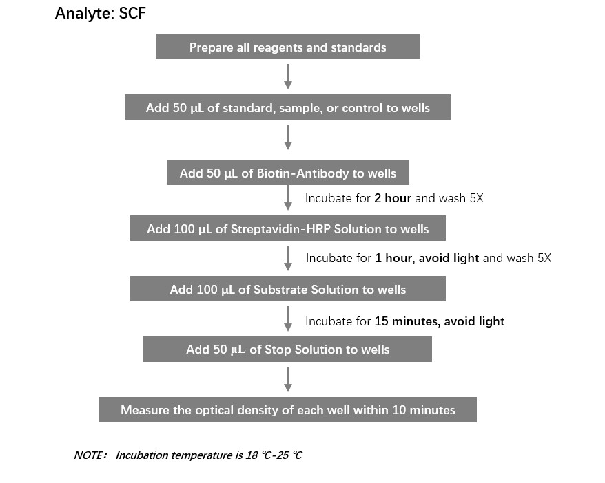  SCF Workflow