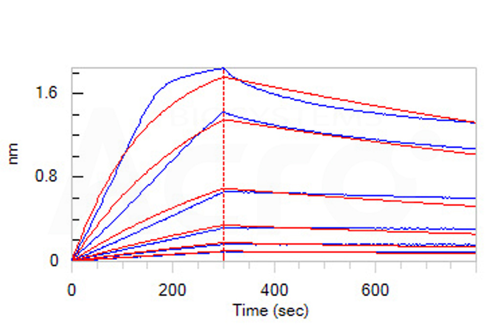  CD3E & CD3D BLI