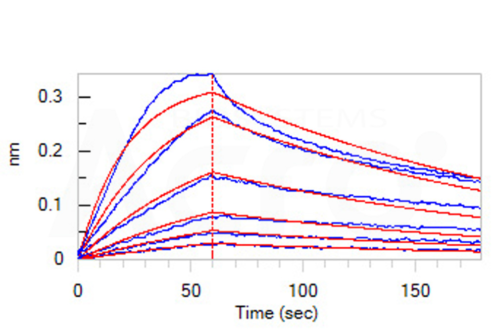  CD3E & CD3D BLI