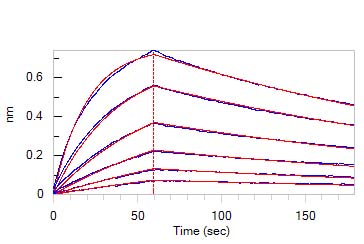  IFN-alpha/beta R1 BLI