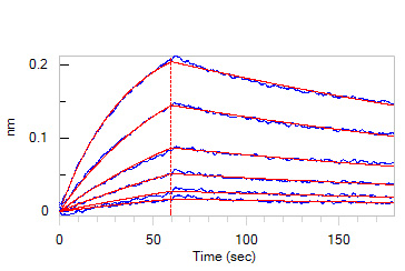  IFN-alpha/beta R1 BLI