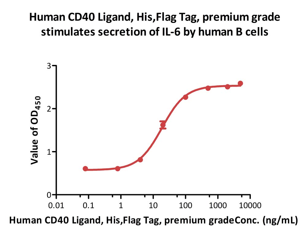  CD40 Ligand CELL