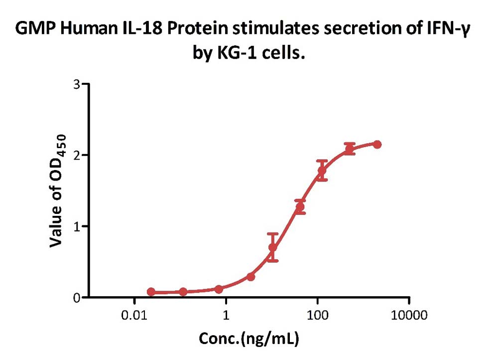  IL-18 CELL