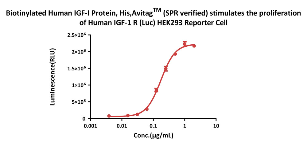  IGF-I CELL