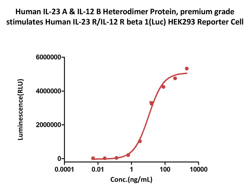  IL23A & IL12B CELL