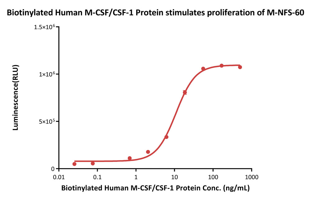  M-CSF CELL