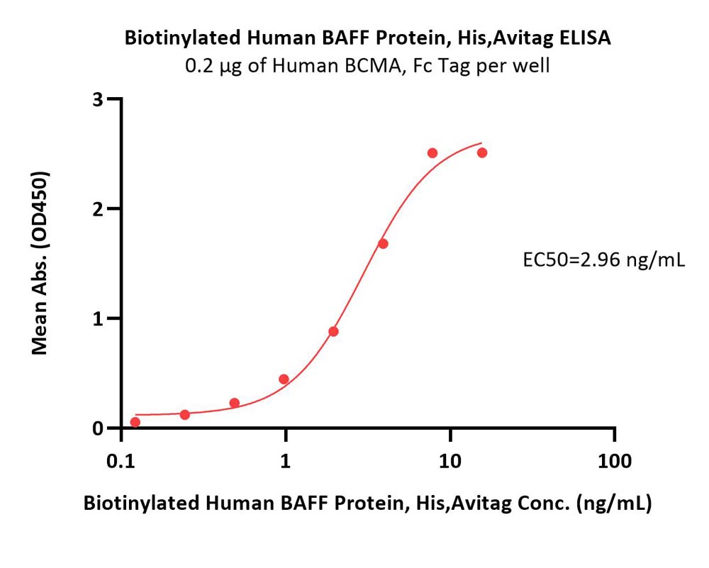  BAFF ELISA