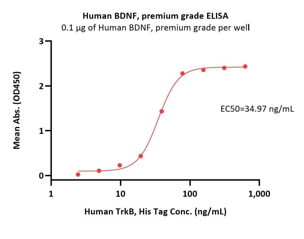  BDNF ELISA