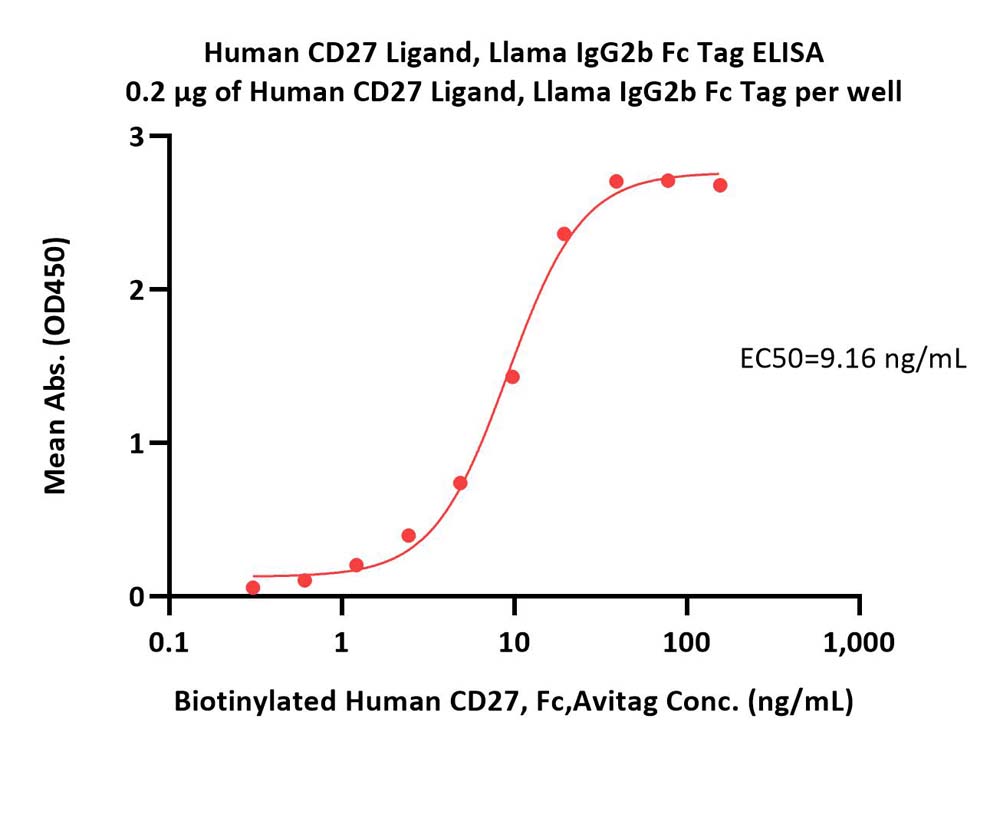  CD27 Ligand ELISA