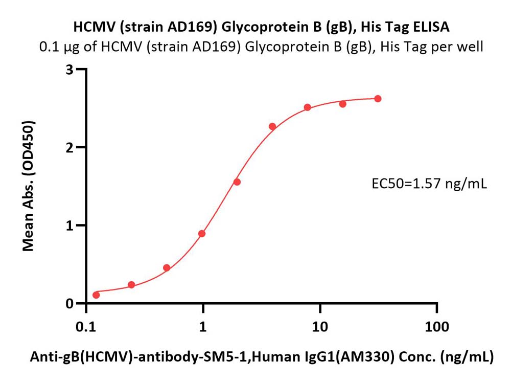  Glycoprotein B / gB ELISA