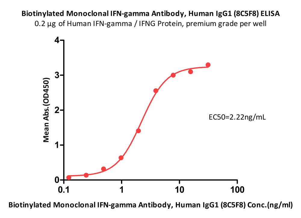  IFN-gamma ELISA