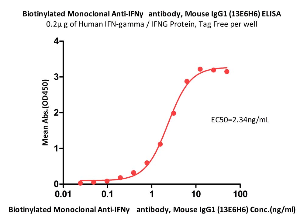  IFN-gamma ELISA