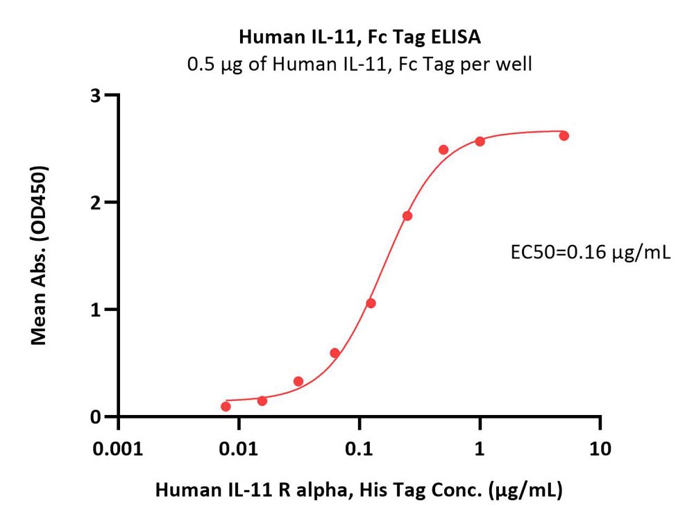  IL-11 ELISA