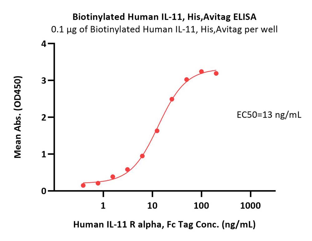  IL-11 ELISA