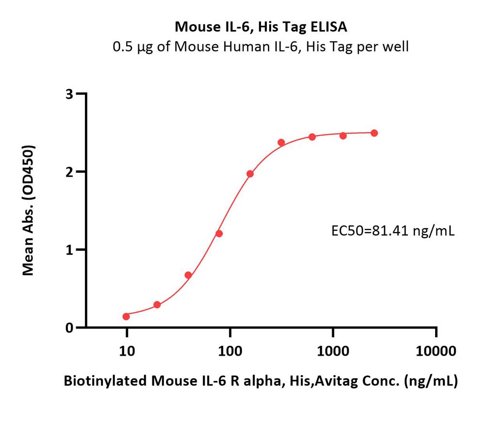  IL-6 ELISA