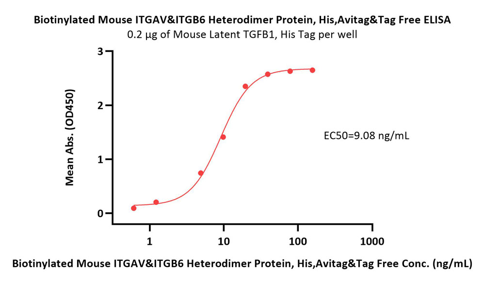  Integrin alpha V beta 6 ELISA