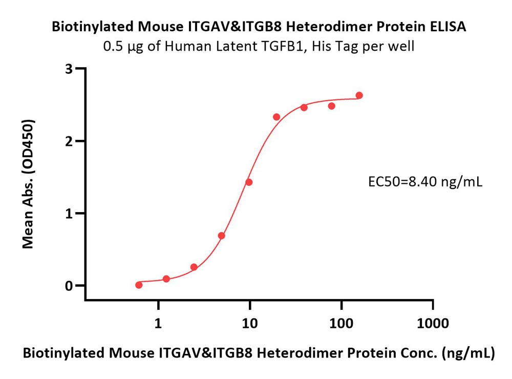  Integrin alpha V beta 8 ELISA