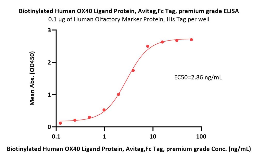  OX40 Ligand ELISA