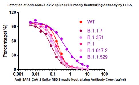  Spike RBD ELISA