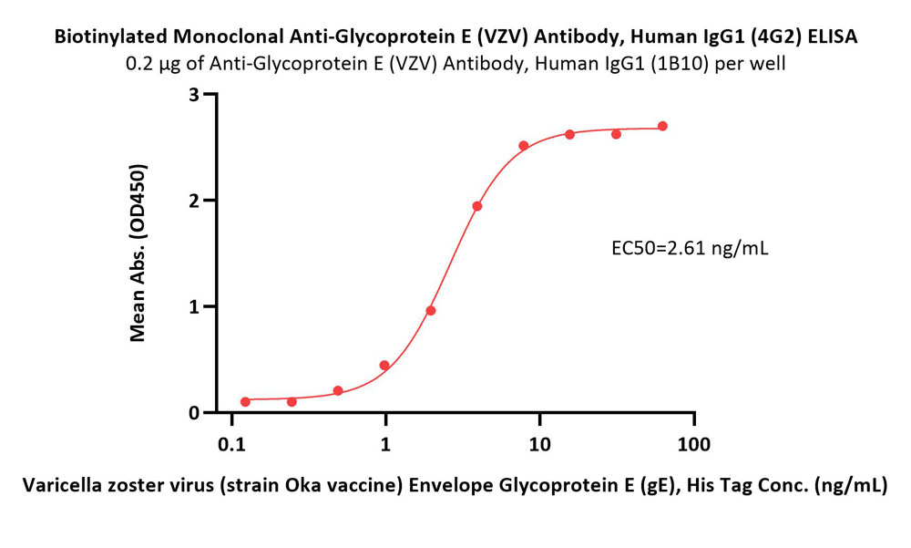  Glycoprotein E (VZV) ELISA