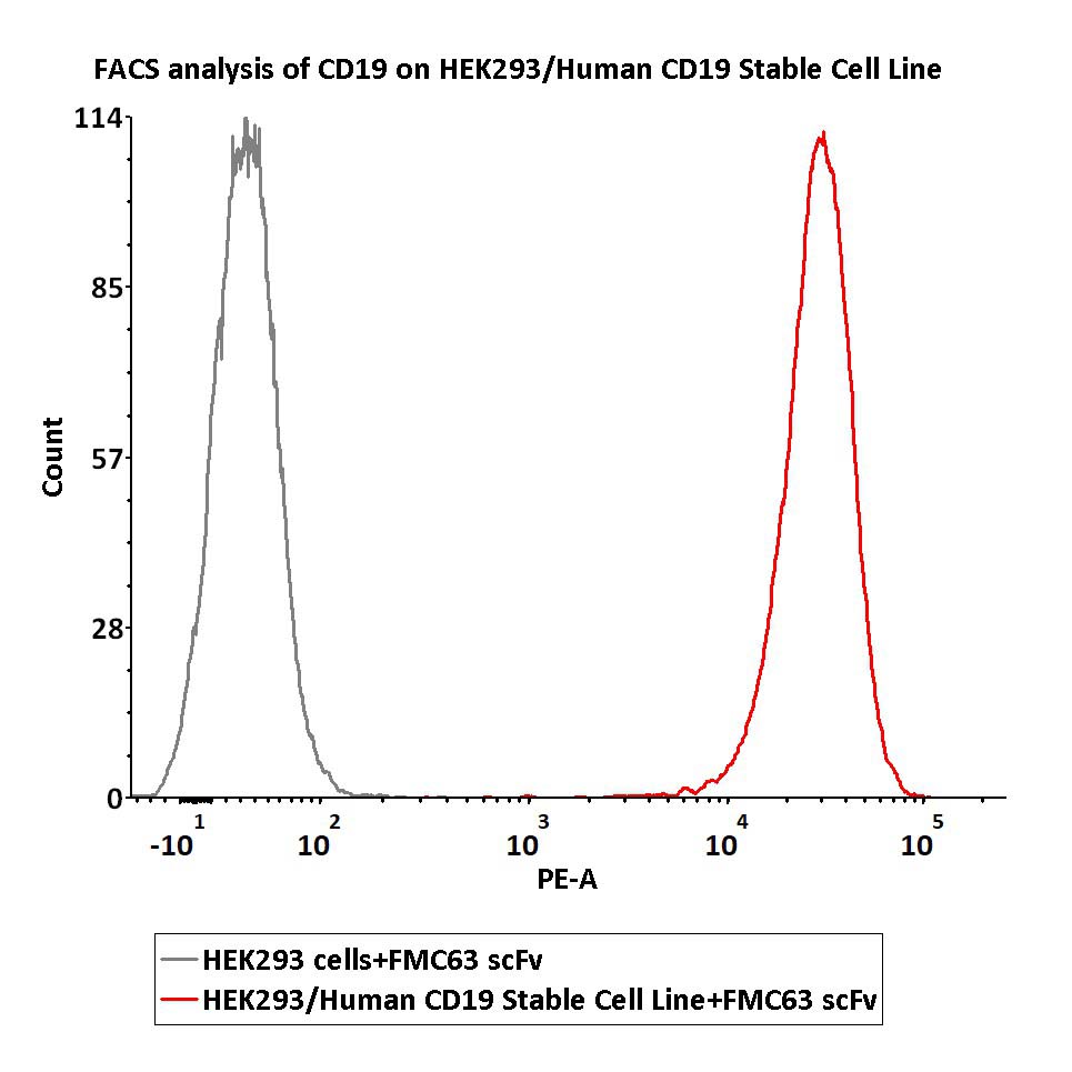  CD19 FACS