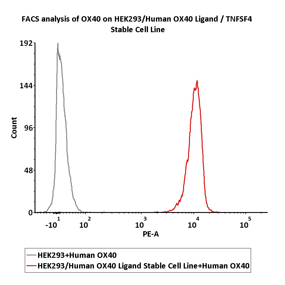  OX40 Ligand FACS