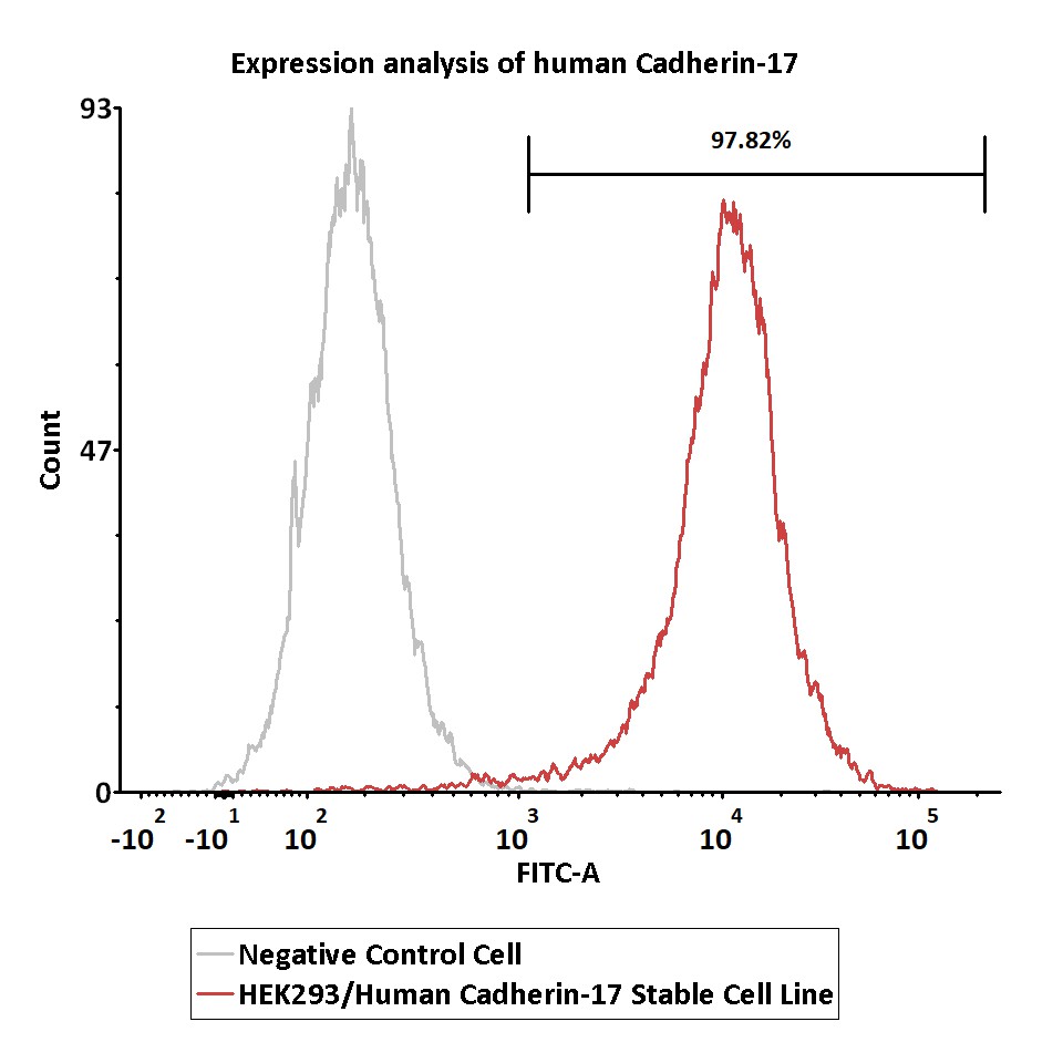  Cadherin-17 FACS