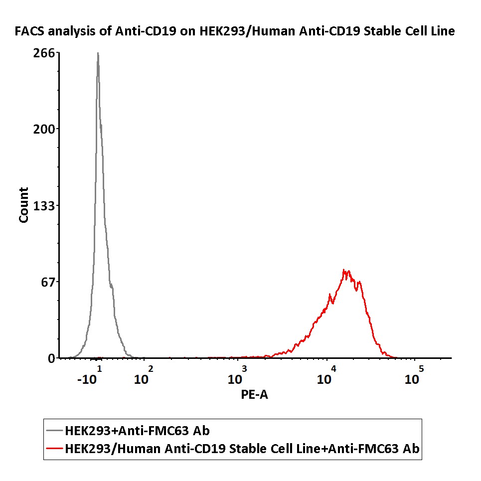  CD19 FACS