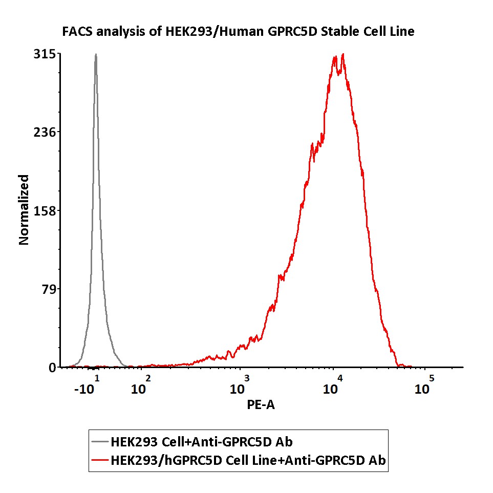  GPRC5D FACS