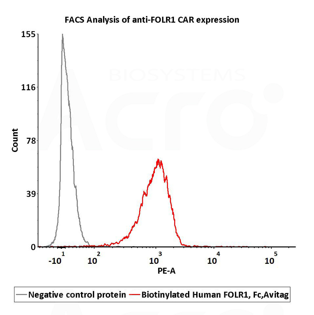  FOLR1 FACS