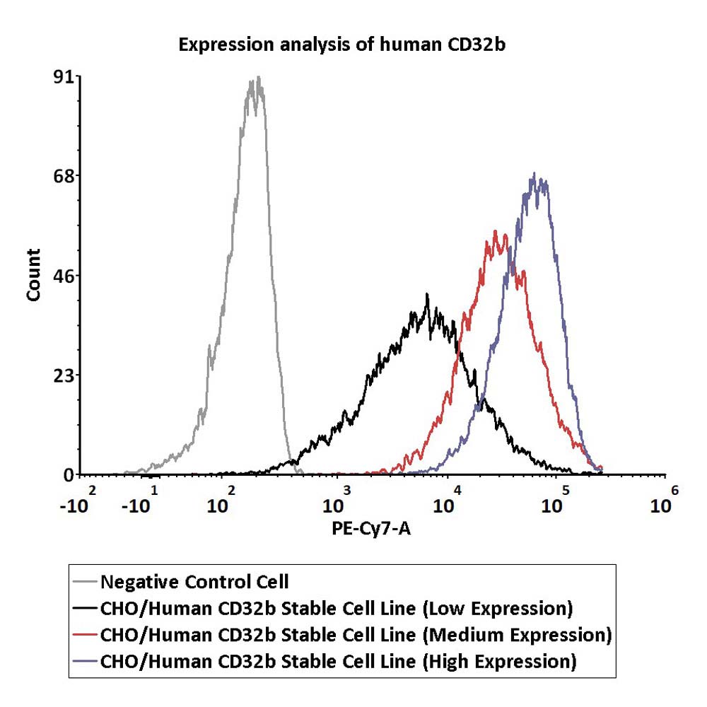  Fc gamma RIIB / CD32b FACS