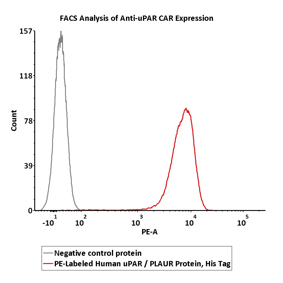 FACS assay shows that recombinant Biotinylated FACS