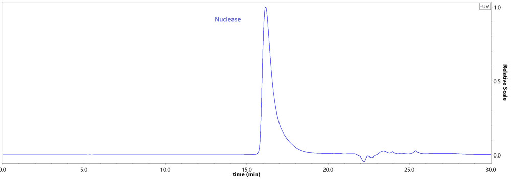 Nuclease SEC-HPLC