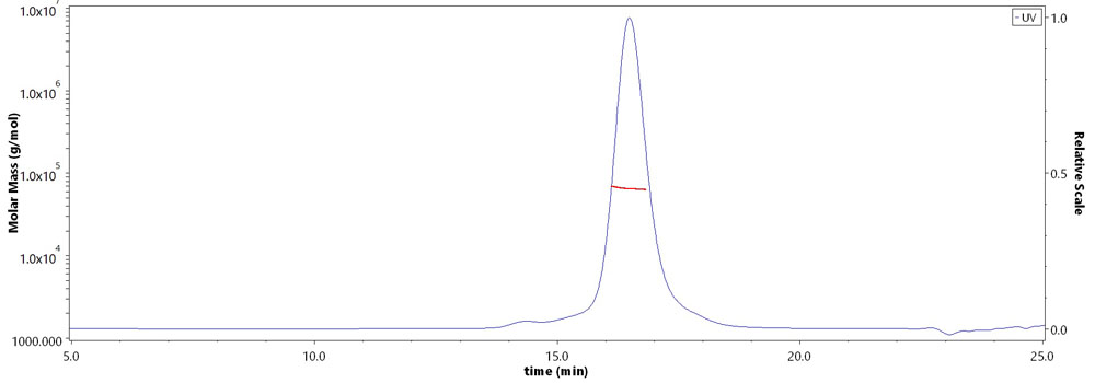 CD39L1/ENTPD2 MALS images