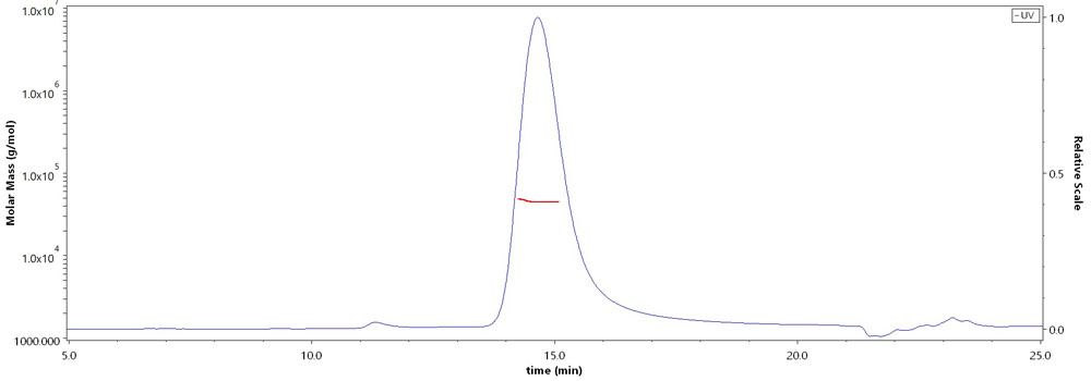 IFN-gamma MALS images