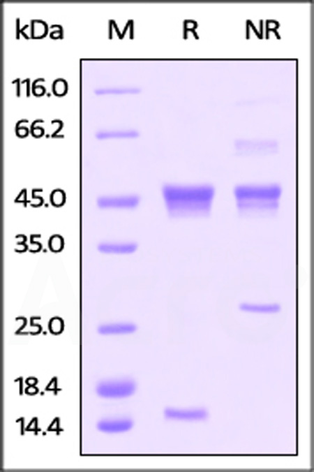 ACA-H424x-sds