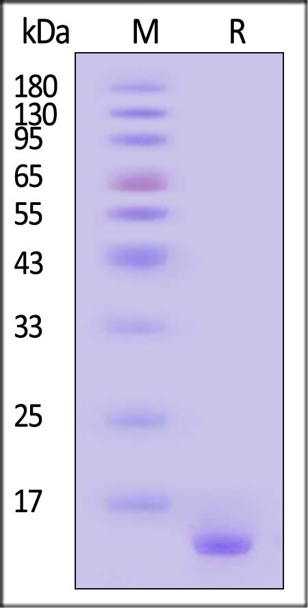 ALN-H5114-sds