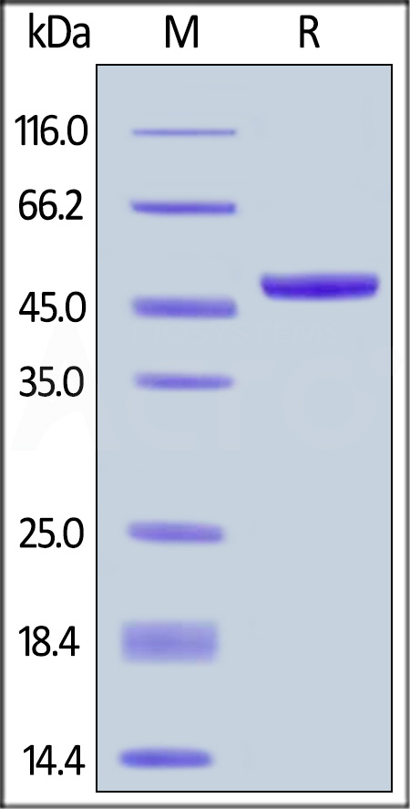 APL-H82F5-sds