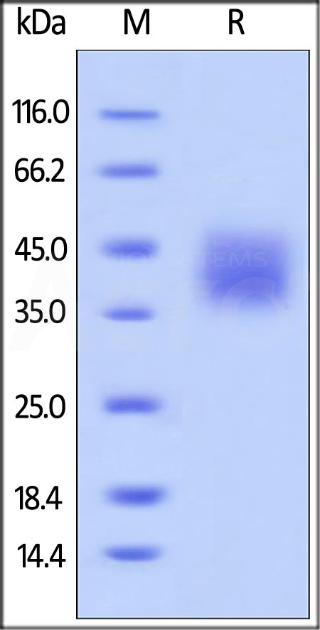 B75-H82E1-sds