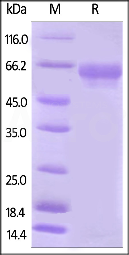 B75-H82F3-sds