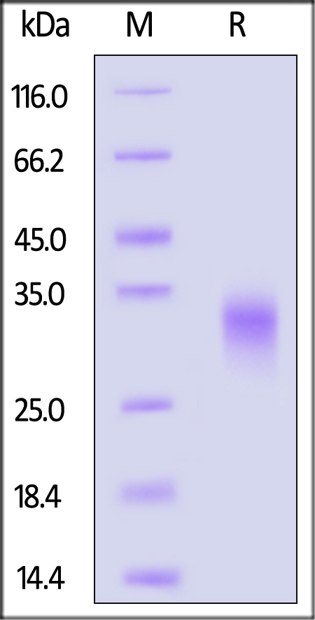 BTA-H82E5-sds