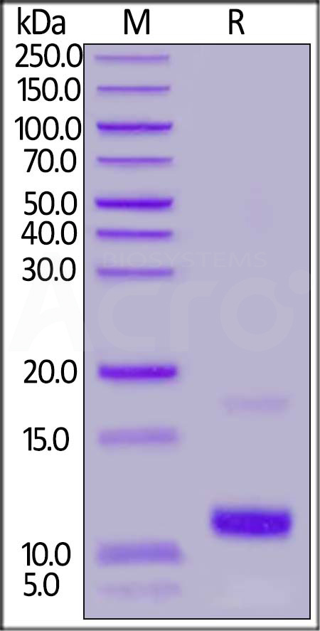 CC9-H5215-sds