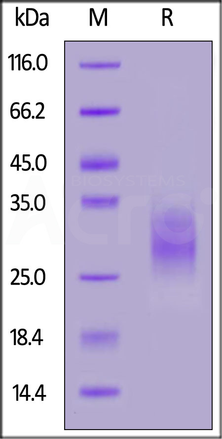 CD7-HF222-sds