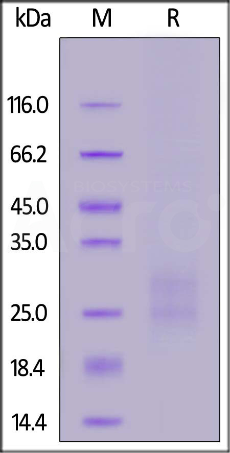 CD7-M52H3-sds