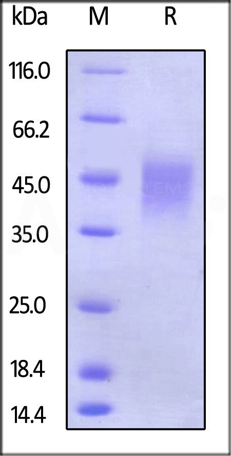 CDB-H5222-sds