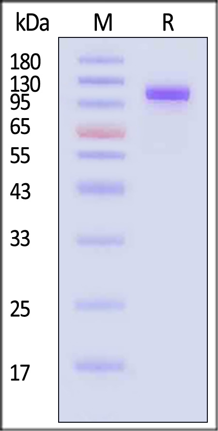 CO2-D82E5-sds